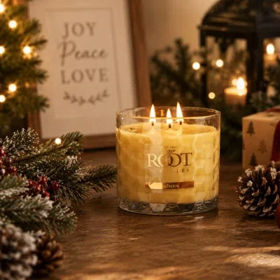 Root Candles Solstice Scented Honeycomb 3 Wick Jar Candle In Transparent