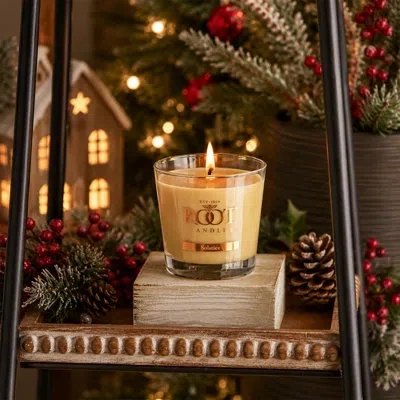 Root Candles Solstice Scented Jar Candle In Gold