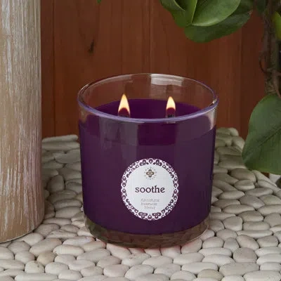 Root Candles Soothe Bay Leaf & Birch Scented Jar Candle In Purple