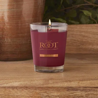 Root Candles Spiced Orchard Scented Jar Candle In Garnet