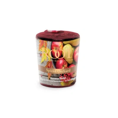 Root Candles Spiced Orchard Scented Votive Candle In Red;garnet