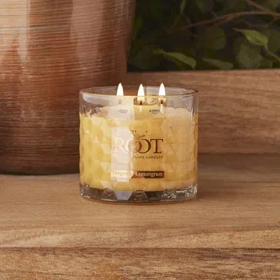 Root Candles Tangerine Lemongrass Scented Jar Candle In Orange