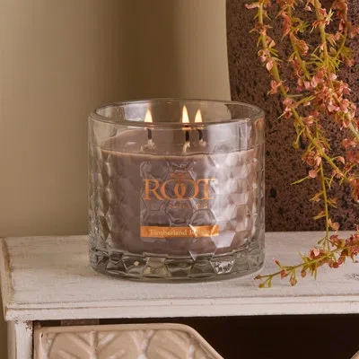 Root Candles Timberland Retreat Scented Jar Candle In Brown
