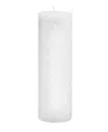 Root Candles Timberline Pillar Candle, 3" X 9" In White
