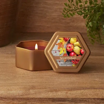 Root Candles Traveler Spiced Orchard Scented Jar Candle In Garnet