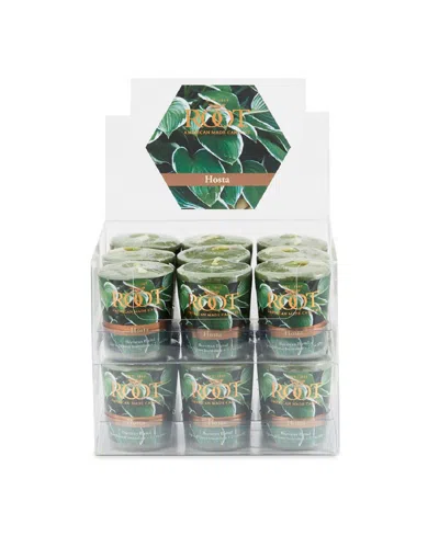 Root Candles Votive Hosta 20 Hour Candles Set, 18 Piece In Dark Olive