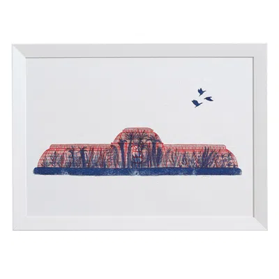 Rosa & Clara Designs Blue Palm House Risograph Print In A3 In Multi