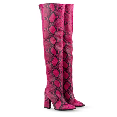 Rosamund Muir London Women's Black / Pink / Purple Roma Pink & Black Snake Print Over Knee Boots In Black/pink/purple