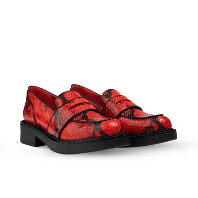 Rosamund Muir London Women's Red / Black Stratford Red & Black Snake Print Loafers In Multi