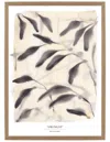 Rosanna Corfe A3 - 'amongst' Botanical Leaf Print In Multi
