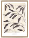 Rosanna Corfe Neutrals / Grey A4 - 'amongst' Botanical Leaf Print In Grey