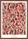 Rosanna Corfe Pink / Purple / Red A3 - 'growth' Blush Pink Botanical Print In Pink/purple/red