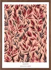 Rosanna Corfe Red / Pink / Purple A2 - 'growth' Blush Pink Botanical Art Print In Red/pink/purple