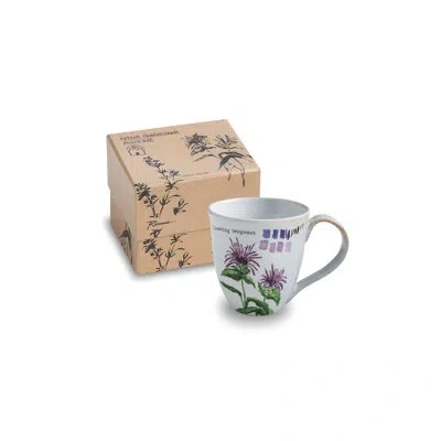 Rosanna Farm To Table Bergamot Coffee Mug In White;violet