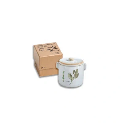 Rosanna Farm To Table Sage Herb Spice Jar In White;green