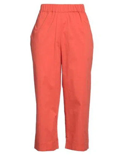 Rose A Pois Rosé A Pois Woman Pants Orange Size 10 Cotton, Elastane