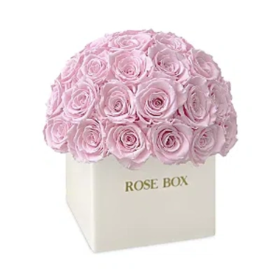Rose Box Nyc 35 Rose Ceramic Arrangement In Light Pink