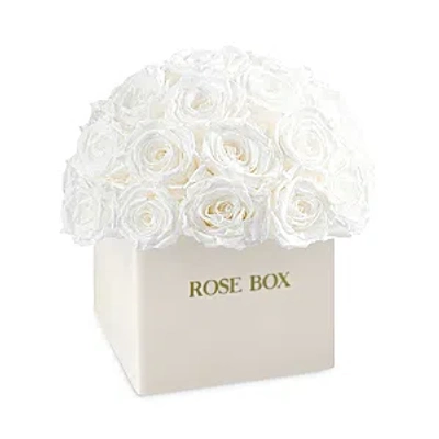 Rose Box Nyc 35 Rose Ceramic Arrangement In Pure White