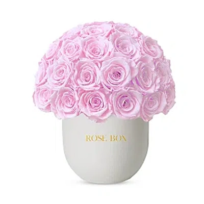 Rose Box Nyc 35 Rose Half Ball Arrangement In Light Pink