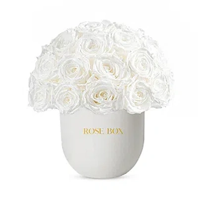 Rose Box Nyc 35 Rose Half Ball Arrangement In Pure White