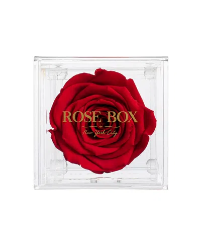 Rose Box Nyc Jewelry Box Of Red Wine Long Lasting Preserved Real Rose, 1 Rose In No Color