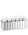 Rose Box Nyc Pure White Long Lasting Preserved Real Roses In Modern Mirrored Centerpiece Vase, 12 Roses In No Color