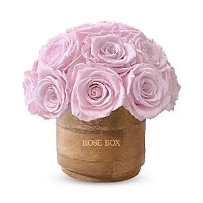 Rose Box Nyc Rustic Mini 25 Rose Half Ball Arrangement In Light Pink