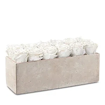 Rose Box Nyc White Rose Box In Gray Slate