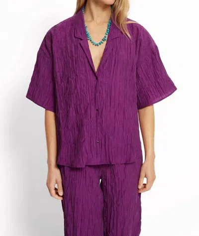 Roseanna Romeo Short Sleeve Shirt In Bright Plum In Red