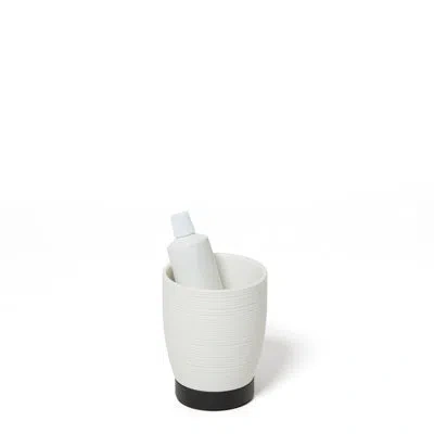 Roselli Trading Company Dubai Tumbler In Black Trim