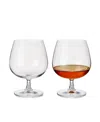 Rosendahl Grand Cru 13.06 oz Brandy Glasses, Set Of 2 In Clear