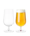 Rosendahl Grand Cru 17 oz Beer Glasses, Set Of 2 In Clear