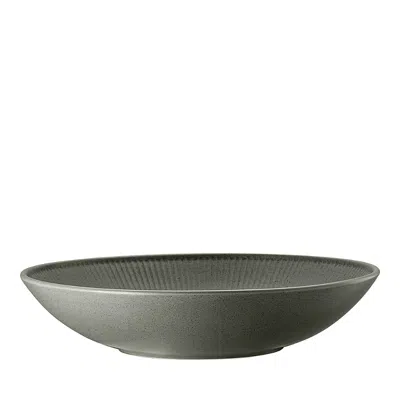 Rosenthal Thomas Clay Gourmet Plate, 11 In Deep Smoke