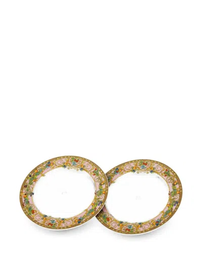 Rosenthal X Versace 2026 30 Years Le Jardin De Versace Dinner Plates In Brown
