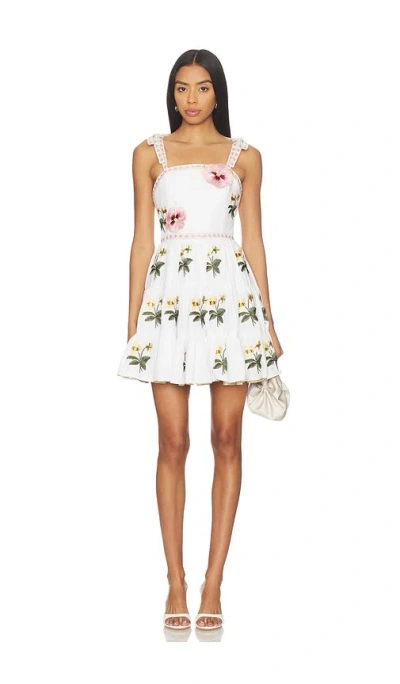 Rosewater House Tara Mini Dress In White