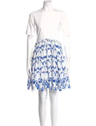 Pre-owned Rosie Assoulin Graphic Print Knee-length Dress In Blue