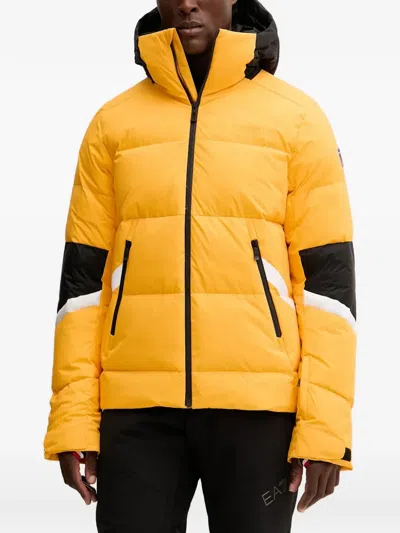 Rossignol Daille Down Ski Jjcket In Multi