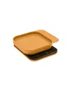Rosti Mensura 8" Kitchen Scale In Curry