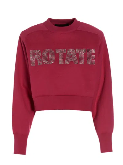 Rotate Birger Christensen Rhinestone-embellished Sweatshirt In Animal Print