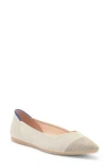 Rothys Rothy's Pointy Toe Flat