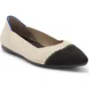 Rothys Rothy's The Point Ii Pointed Toe Flat In Multi