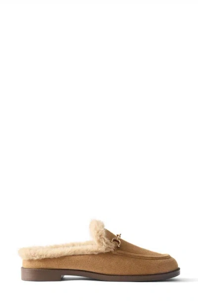Rothys Rothy's The Revelvet Après Loafer Mule In Brown