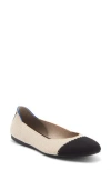 Rothys Rothy's The Point Ii Pointed Toe Flat In Multi