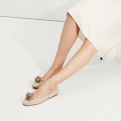 Rothys The Petal Square In Metallic In Neutral