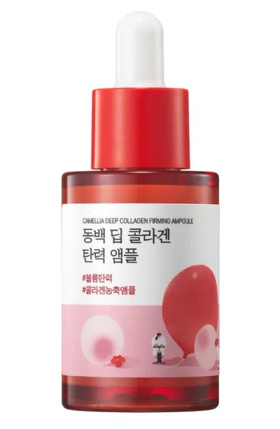 Round Lab Camellia Deep Collagen Firming Ampoule In Red
