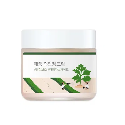 Round Lab Ladies Mugwort Calming Cream 2.7 oz Skin Care 8809738605721