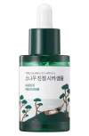 Round Lab Pine Calming Cica Ampoule In Transparent