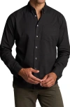 Rowan Henrick Cotton Oxford Button-down Shirt In Black