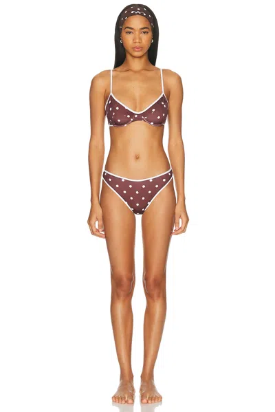 Rowen Rose Bikini Printed Lycra In Purple