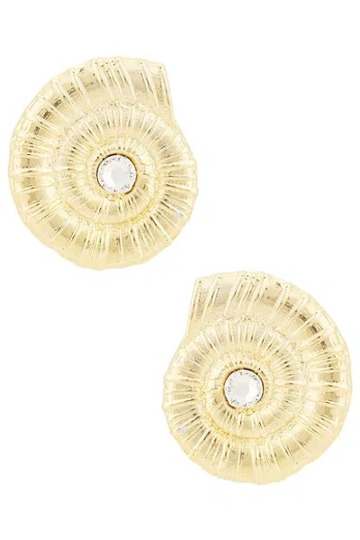 Rowen Rose Conch Shell Earrings In Gold
